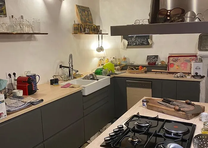 Maison De Village De 1802, Fraichement Renovee A 04370 *